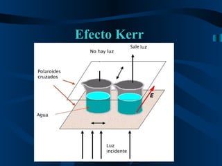 Efecto Kerr   