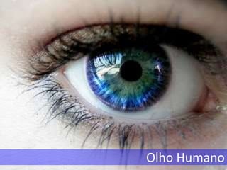 Olho Humano
 