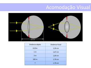 Distância objeto Distância Focal
0,25m 1,59 cm
1 m 1,67 cm
3 m 1,69 cm
100 m 1,70 cm
 1,70 cm
2,5 cm
Acomodação Visual
 