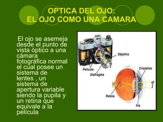 OPTICA DEL OJO: EL OJO COMO UNA CAMARA El ojo se asemeja desde el punto de vista óptico a una cámara fotográfica normal el cual posee un sistema de lentes , un sistema de apertura variable siendo la pupila y un retina que equivale a la película  