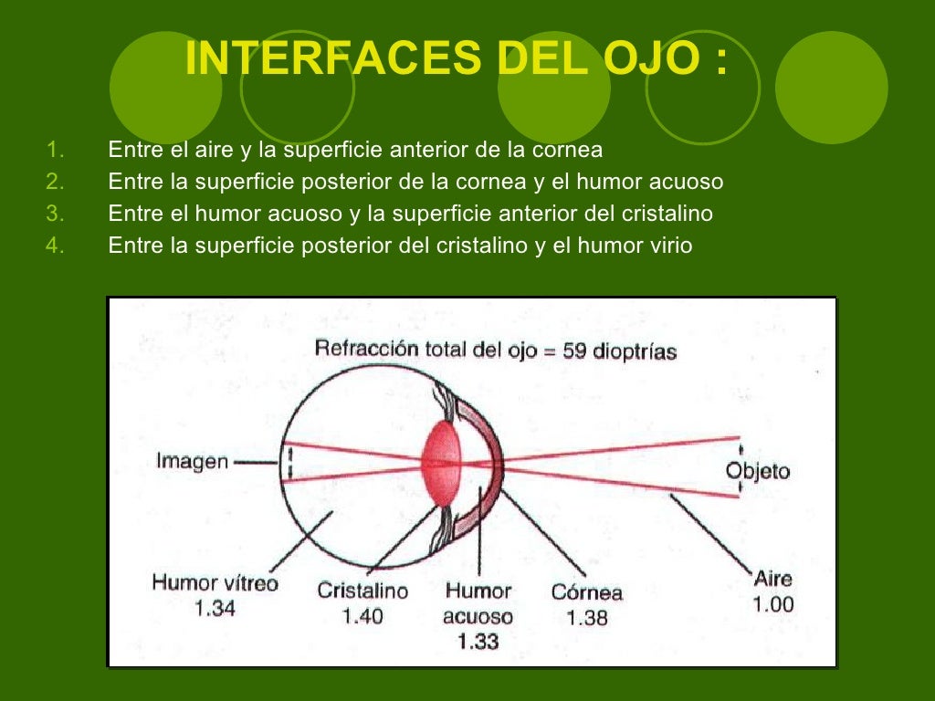 Optica De La Vision