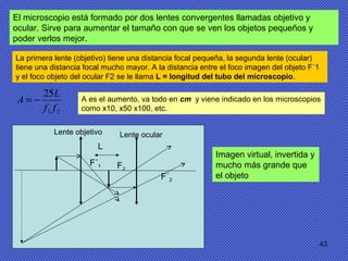 43
El microscopio está formado por dos lentes convergentes llamadas objetivo y
ocular. Sirve para aumentar el tamaño con que se ven los objetos pequeños y
poder verlos mejor.
La primera lente (objetivo) tiene una distancia focal pequeña, la segunda lente (ocular)
tiene una distancia focal mucho mayor. A la distancia entre el foco imagen del objeto F´1
y el foco objeto del ocular F2 se le llama L = longitud del tubo del microscopio.
21
25
ff
L
A −= A es el aumento, va todo en cm y viene indicado en los microscopios
como x10, x50 x100, etc.
Imagen virtual, invertida y
mucho más grande que
el objeto
Lente objetivo Lente ocular
F´1
F´2
F2
L
 