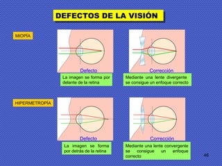 46
DEFECTOS DE LA VISIÓNDEFECTOS DE LA VISIÓN
MIOPÍAMIOPÍA
HIPERMETROPÍAHIPERMETROPÍA
Corrección
Defecto Corrección
Defecto
La imagen se forma por
delante de la retina
La imagen se forma
por detrás de la retina
Mediante una lente convergente
se consigue un enfoque
correcto
Mediante una lente divergente
se consigue un enfoque correcto
 