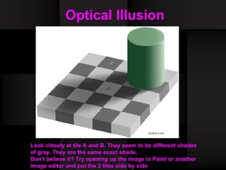 Optical Illusion   Look closely at tile A and B. They seem to be different shades of gray. They are the same exact shade.  Don't believe it? Try opening up the image in Paint or another image editor and put the 2 tiles side by side 