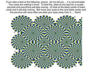 Optical illusions | PPT