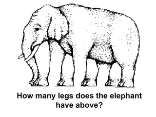 How many legs does the elephant have above?