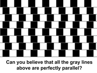 Can you believe that all the gray lines above are perfectly parallel?