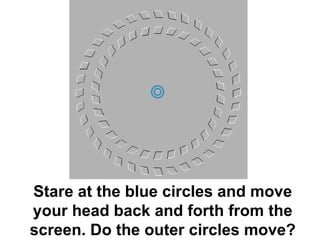 Stare at the blue circles and move your head back and forth from the screen. Do the outer circles move? 