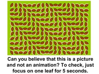 Can you believe that this is a picture and not an animation? To check, just focus on one leaf for 5 seconds. 