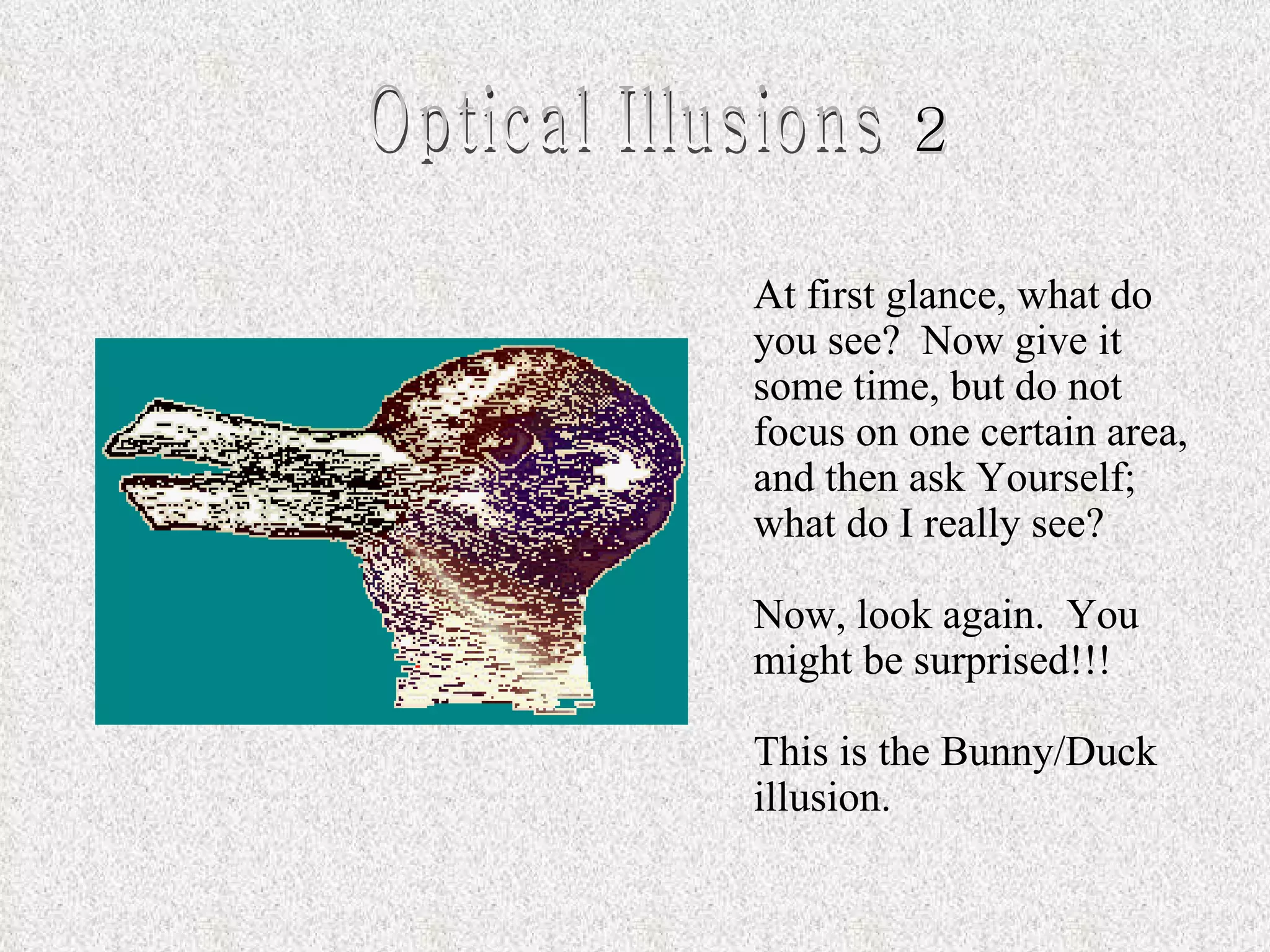 Optical Illusions | PPS