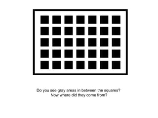 Do you see gray areas in between the squares?  Now where did they come from? 