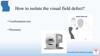 Comprehensive Overview of Visual and Pupillary Pathways in ...