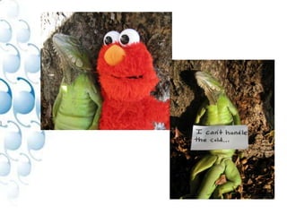 +3.50 D+7.00 D+ 4.50 D+6.00 D0.00 D