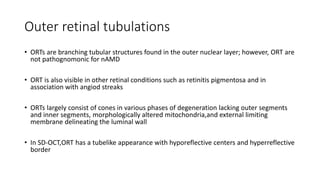 Outer retinal tubulations
• ORTs are branching tubular structures found in the outer nuclear layer; however, ORT are
not pathognomonic for nAMD
• ORT is also visible in other retinal conditions such as retinitis pigmentosa and in
association with angiod streaks
• ORTs largely consist of cones in various phases of degeneration lacking outer segments
and inner segments, morphologically altered mitochondria,and external limiting
membrane delineating the luminal wall
• In SD-OCT,ORT has a tubelike appearance with hyporeflective centers and hyperreflective
border
 