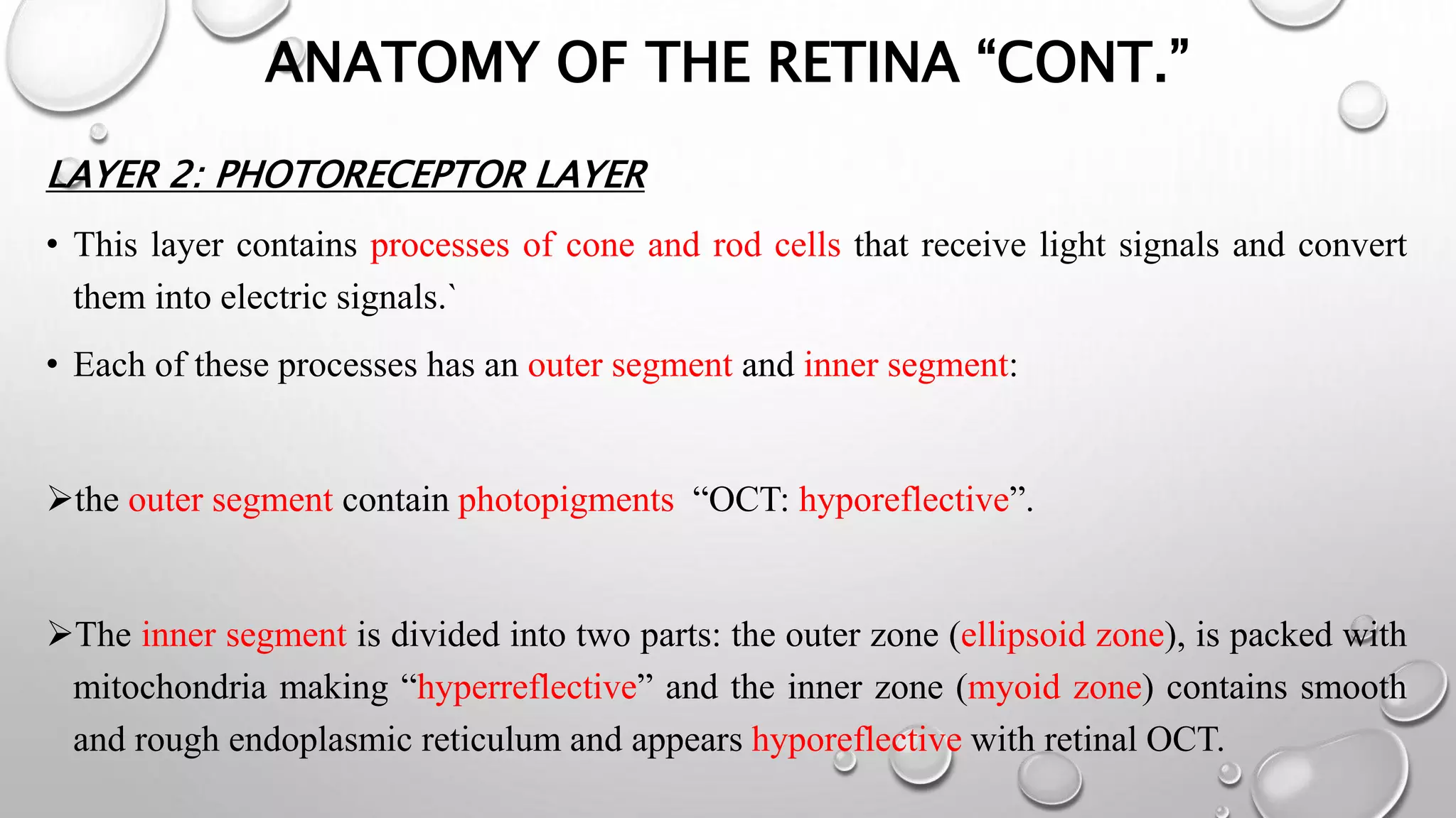 ANATOMY OF THE RETINA “CONT.”
LAYER 2: PHOTORECEPTOR LAYER
• This layer contains processes of cone and rod cells that receive light signals and convert
them into electric signals.`
• Each of these processes has an outer segment and inner segment:
the outer segment contain photopigments “OCT: hyporeflective”.
The inner segment is divided into two parts: the outer zone (ellipsoid zone), is packed with
mitochondria making “hyperreflective” and the inner zone (myoid zone) contains smooth
and rough endoplasmic reticulum and appears hyporeflective with retinal OCT.
 