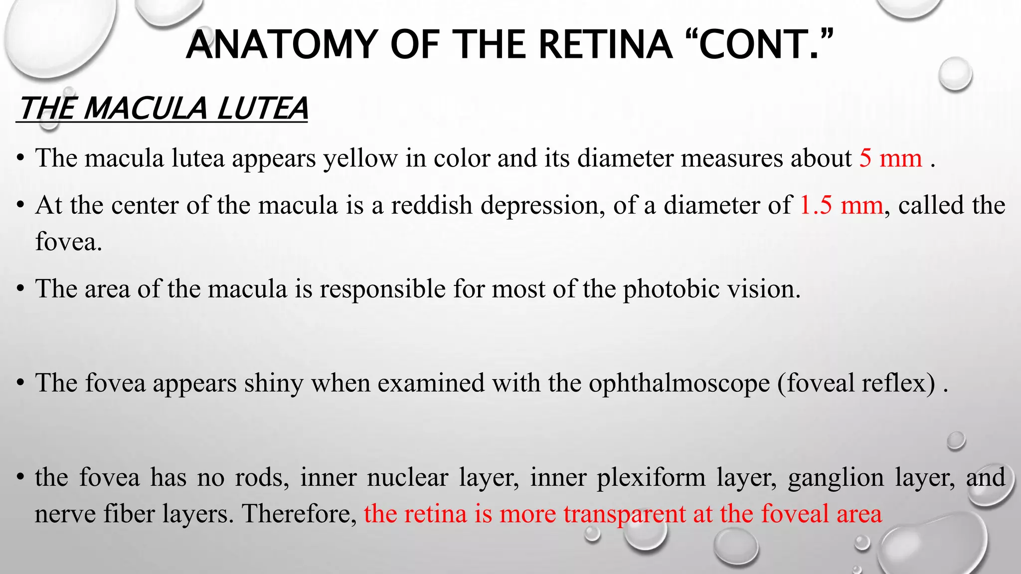 ANATOMY OF THE RETINA “CONT.”
THE MACULA LUTEA
• The macula lutea appears yellow in color and its diameter measures about 5 mm .
• At the center of the macula is a reddish depression, of a diameter of 1.5 mm, called the
fovea.
• The area of the macula is responsible for most of the photobic vision.
• The fovea appears shiny when examined with the ophthalmoscope (foveal reflex) .
• the fovea has no rods, inner nuclear layer, inner plexiform layer, ganglion layer, and
nerve fiber layers. Therefore, the retina is more transparent at the foveal area
 