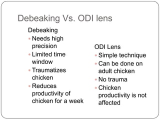 Debeaking Vs. ODI lens
  Debeaking
   Needs high
    precision            ODI Lens
   Limited time          Simple technique
    window                Can be done on
   Traumatizes            adult chicken
    chicken               No trauma
   Reduces               Chicken
    productivity of        productivity is not
    chicken for a week     affected
 