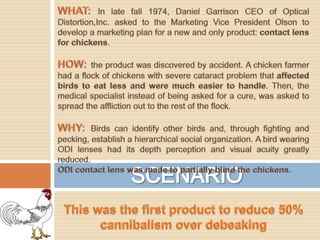 SCENARIOWHAT:In late fall 1974, Daniel Garrison CEO of OpticalDistortion,Inc. askedto the Marketing Vice PresidentOlsontodevelop a marketing planfor a new and onlyproduct: contactlensforchickens.HOW: the productwasdiscoveredbyaccident. A chickenfarmerhad a flock of chickenswith severe cataractproblemthataffectedbirdstoeatless and weremucheasiertohandle. Then, the medicalspecialistinstead of beingaskedfor a cure, wasaskedto spread the affliction out to the rest of the flock.    WHY: Birds can identifyotherbirds and, throughfighting and pecking, establish a hierarchical social organization. A birdwearing ODI lenseshaditsdepthperception and visualacuitygreatlyreduced. ODI contactlenswasmadetopartiallyblind the chickens.Thiswas the first productto reduce 50% cannibalismoverdebeaking