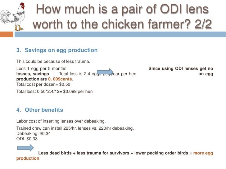 Optical distortion, inc