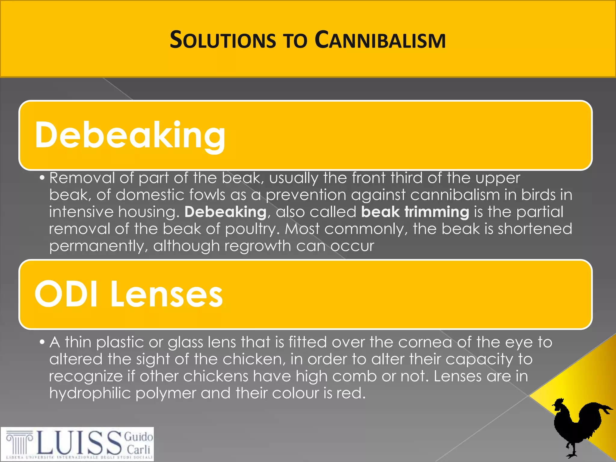 SolutionstoCannibalism