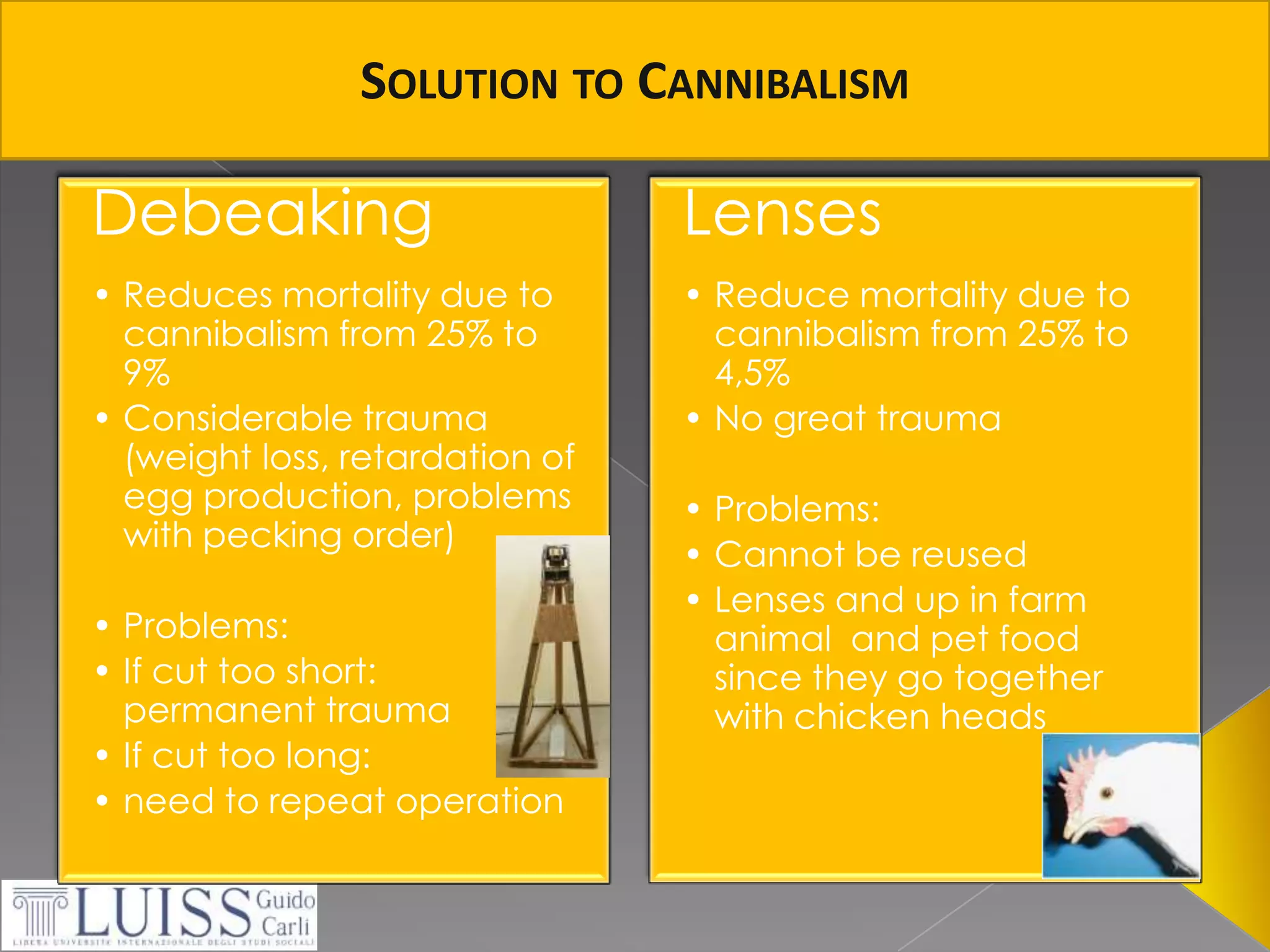 SolutiontoCannibalism