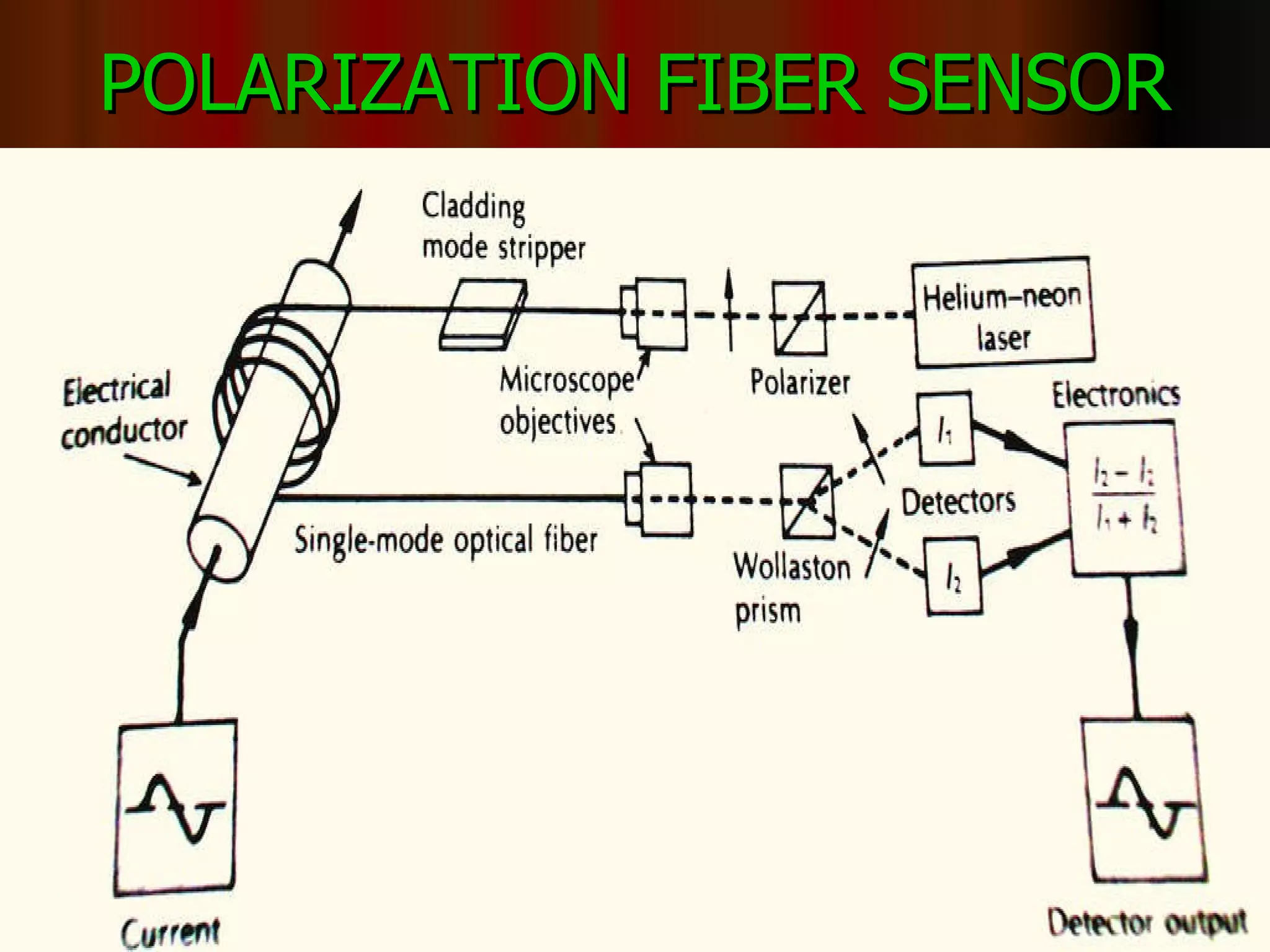 POLARIZATION FIBER SENSOR 