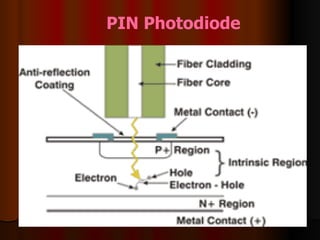 PIN Photodiode   