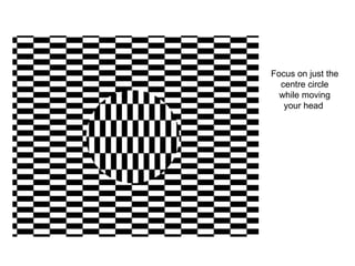 Optical illusion Slide 16