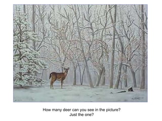 How many deer can you see in the picture? Just the one? 