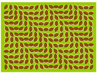 Optical illusion Slide 49