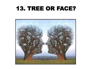 13. TREE OR FACE?
 