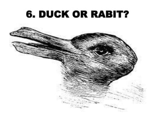 6. DUCK OR RABIT?
 