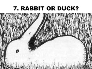 7. RABBIT OR DUCK?
 