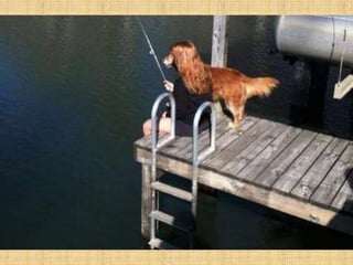 Amazing Optical Illusion Photography- Part 2