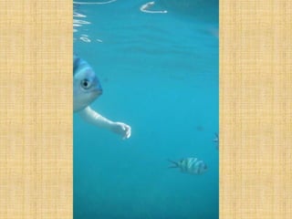 Amazing Optical Illusion Photography- Part 2