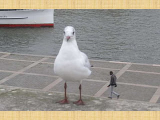 Amazing Optical Illusion Photography- Part 2