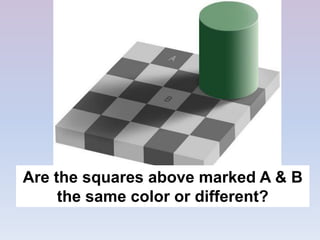 Are the squares above marked A & B
the same color or different?
 