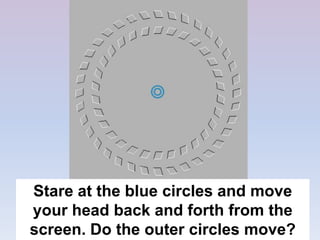 Stare at the blue circles and move
your head back and forth from the
screen. Do the outer circles move?
 