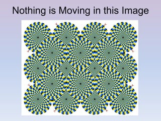 Nothing is Moving in this Image
 