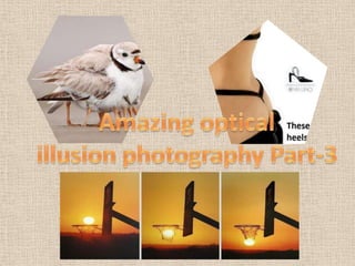 Amazing optical  illusion photography Part-3