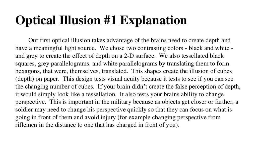 visual illusion essay