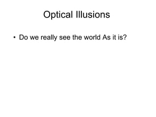 Optical Illusions  ,[object Object]