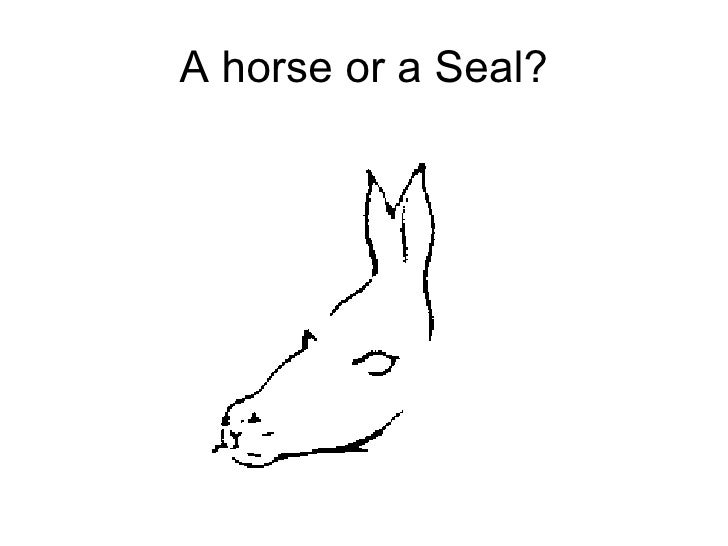 Optical Illusions