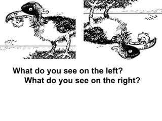 What do you see on the left?  What do you see on the right? 