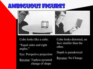 Optical illusions | PPT