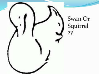 Squirrel Swan Optical illusions | PPTX