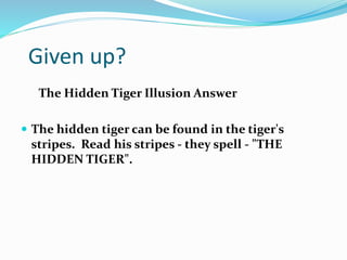 Optical illusions | PPTX