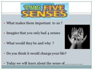  What makes them important to us ? 
 Imagine that you only had 4 senses 
 What would they be and why ? 
 Do you think it would change your life? 
 Today we will learn about the sense of………………. 
 