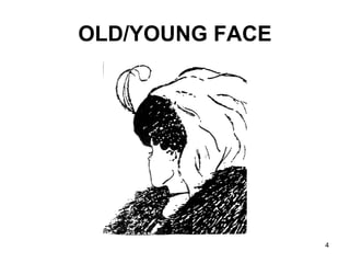 Young lady old lady perception