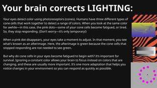 Your eyes detect color using photoreceptors (cones). Humans have three different types of
cone cells that work together to detect a range of colors. When you look at the same color
for awhile—in this case, the pink dots—some of your cone cells become fatigued, or tired.
So, they stop responding. (Don’t worry—it’s only temporary!)
When a pink dot disappears, your eyes take a moment to adjust. In that moment, you see
what’s known as an afterimage. Here, the afterimage is green because the cone cells that
stopped responding are not needed to see green.
But why do cone cells in your eyes become fatigued to begin with? It’s important for
survival. Ignoring a constant color allows your brain to focus instead on colors that are
changing, and these are usually more important. It’s one more adaptation that helps you
notice changes in your environment so you can respond as quickly as possible.
Your brain corrects LIGHTING:
 